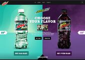 DEWcision 2016 Website