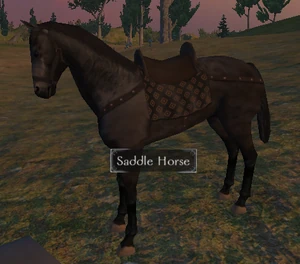 Saddle horse