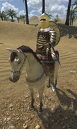Emir Hamezan in battle gear