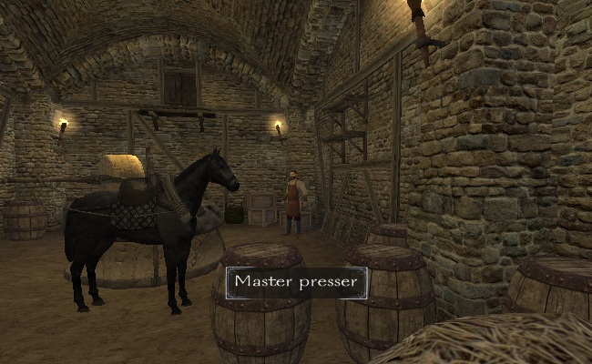 mount and blade warband best enterprise
