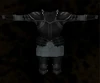 Black Armor