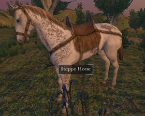 Steppe horse