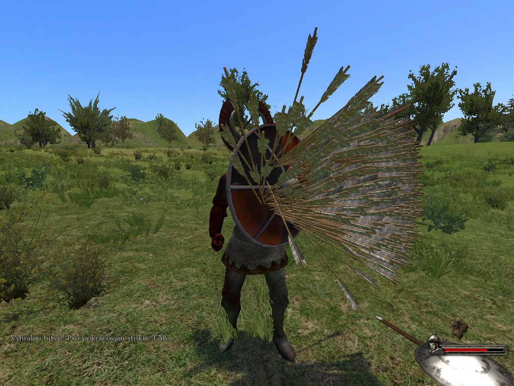 mount and blade shield