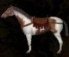 Saddle Horse