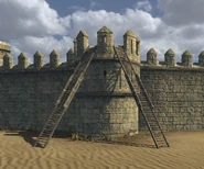 Caraf's two siege ladders