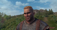 Bannerlord character face