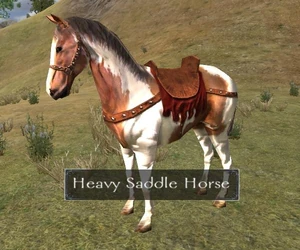 HeavySaddleHorse