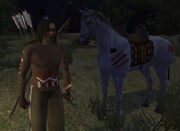 Apache and his Horse