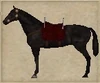 Warhorse