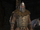 Sturgian Hardened Brigand