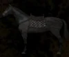 Saddle Horse