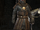 Beni Zilal Royal Guard