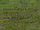 Shot difficulty