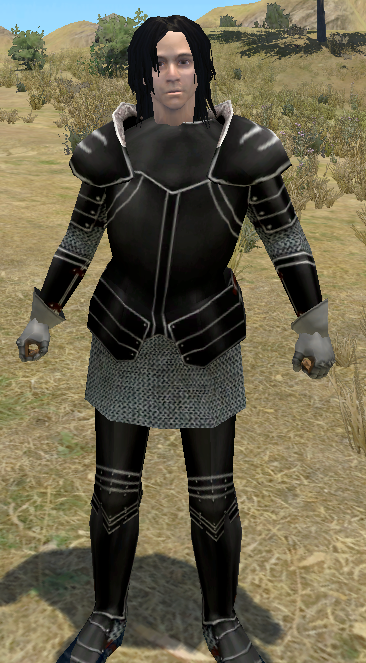 strange armor mount and blade