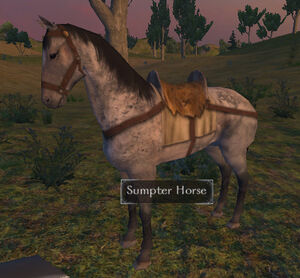 Sumpter horse.jpg