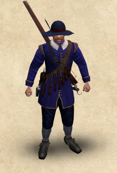 does mount and blade napoleonic wars have single player