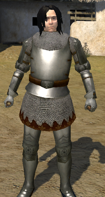 best armor mount and blade warband