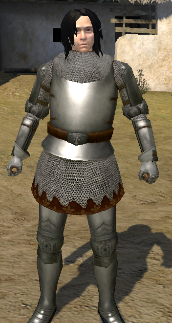 Plate Armor, Mount & Blade Wiki