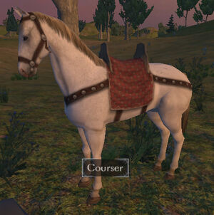 courser horse