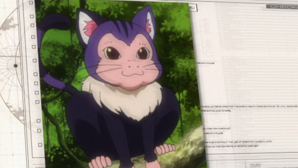 Cat-Monkey - Mouretsu Pirates Wiki - Fandom