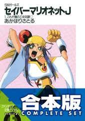 SMJ Novel 1