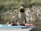 Dam Sharks