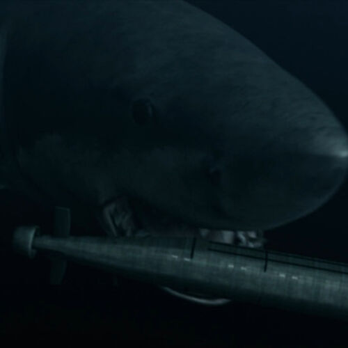 Mega Shark Vs Giant Octopus Gif