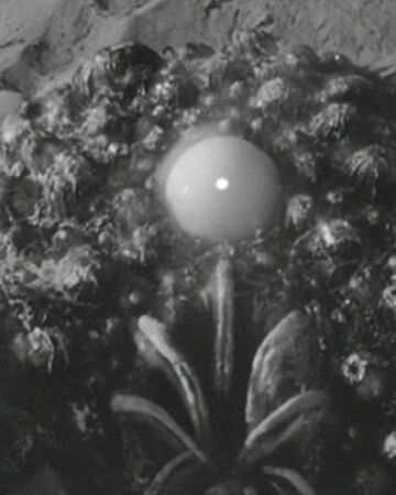 Flesh Eaters Movie Monster Wiki Fandom