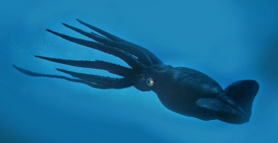 Giant Squid | Movie Monster Wiki | Fandom