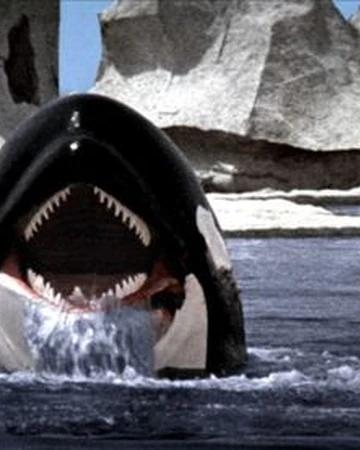 Orca Movie Monster Wiki Fandom