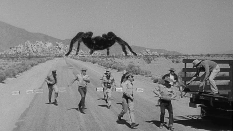 Arizona Tarantula | Movie Monster Wiki | Fandom