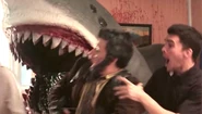 House Shark (2017) 1.jpg (64 KB)