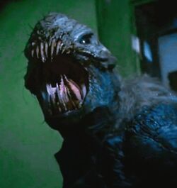 The Animal | Movie Monster Wiki | Fandom The Animal | Movie Monster Wiki | Fandom