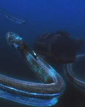 alien eel