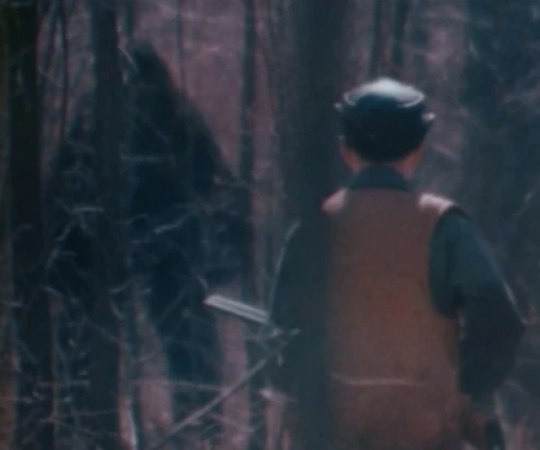 Boggy Creek Monster | Movie Monster Wiki | Fandom