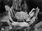 Crab Monsters