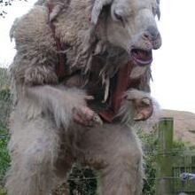 Zombie Sheep Movie Monster Wiki Fandom