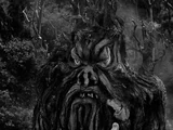Tabonga