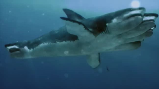 5-Headed Shark Attack - Wikipedia