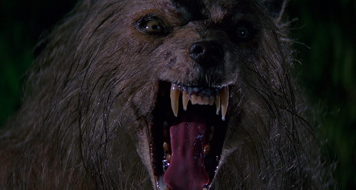 Full Moon Fever: The Werewolf Horror Movies of 1981 - Bloody Disgusting