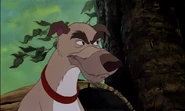 Fox-and-the-hound-disneyscreencaps.com-2214.jpg (290 KB)