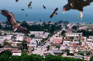 The Birds (Birdemic).jpg
