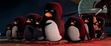 Penguins