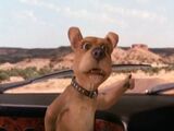 Scrappy-Doo