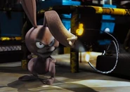 Boingo preparing to kill Red