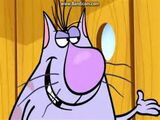 Ronald The Cat