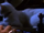 640px-Inspector Gadget 1999 Claw and M A D Cat.png