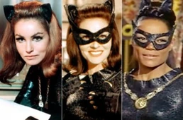 4831136-catwoman-60s-570x376