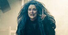 Into-the-woods-meryl-streep.jpg
