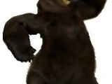 Vincent (Over the Hedge)
